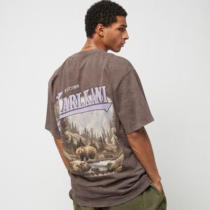 Small Signature Washed Heavy Jersey Landscape Tee